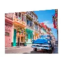 Cuadro de lienzo 24"x32" (Grande)